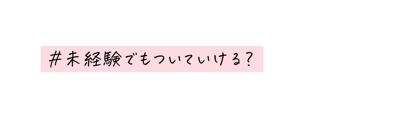 未経験でもついていける